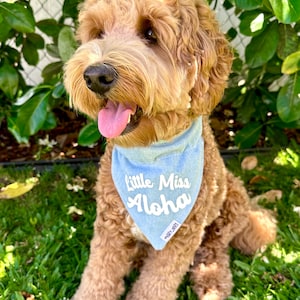 Dog Bandana; Little Miss Aloha