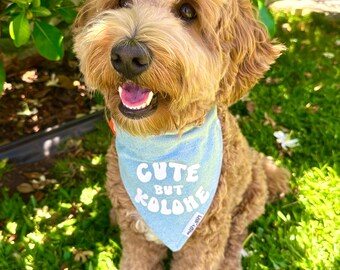 Dog Bandana; Cute but Kolohe