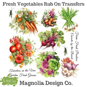 May include: A collection of rub-on transfers featuring botanical illustrations of carrots, potatoes, onions, tomatoes, beets, lettuce, and garlic. The text reads Fresh Vegetables Rub On Transfers, Farm Fresh Produce, Carrots by the Bunch, Tomatoes on the Vine, Garden Fresh Greens, and Magnolia Design Co.