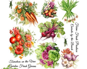 May include: A collection of rub-on transfers featuring botanical illustrations of carrots, potatoes, onions, tomatoes, beets, lettuce, and garlic. The text reads Fresh Vegetables Rub On Transfers, Farm Fresh Produce, Carrots by the Bunch, Tomatoes on the Vine, Garden Fresh Greens, and Magnolia Design Co.