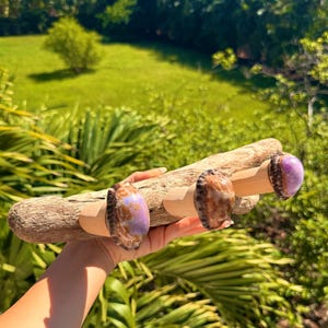 May include: A driftwood coat rack with three seashell hooks. The seashells are a mix of purple, brown, and tan. The rack is held up against a background of green foliage and a blue sky.