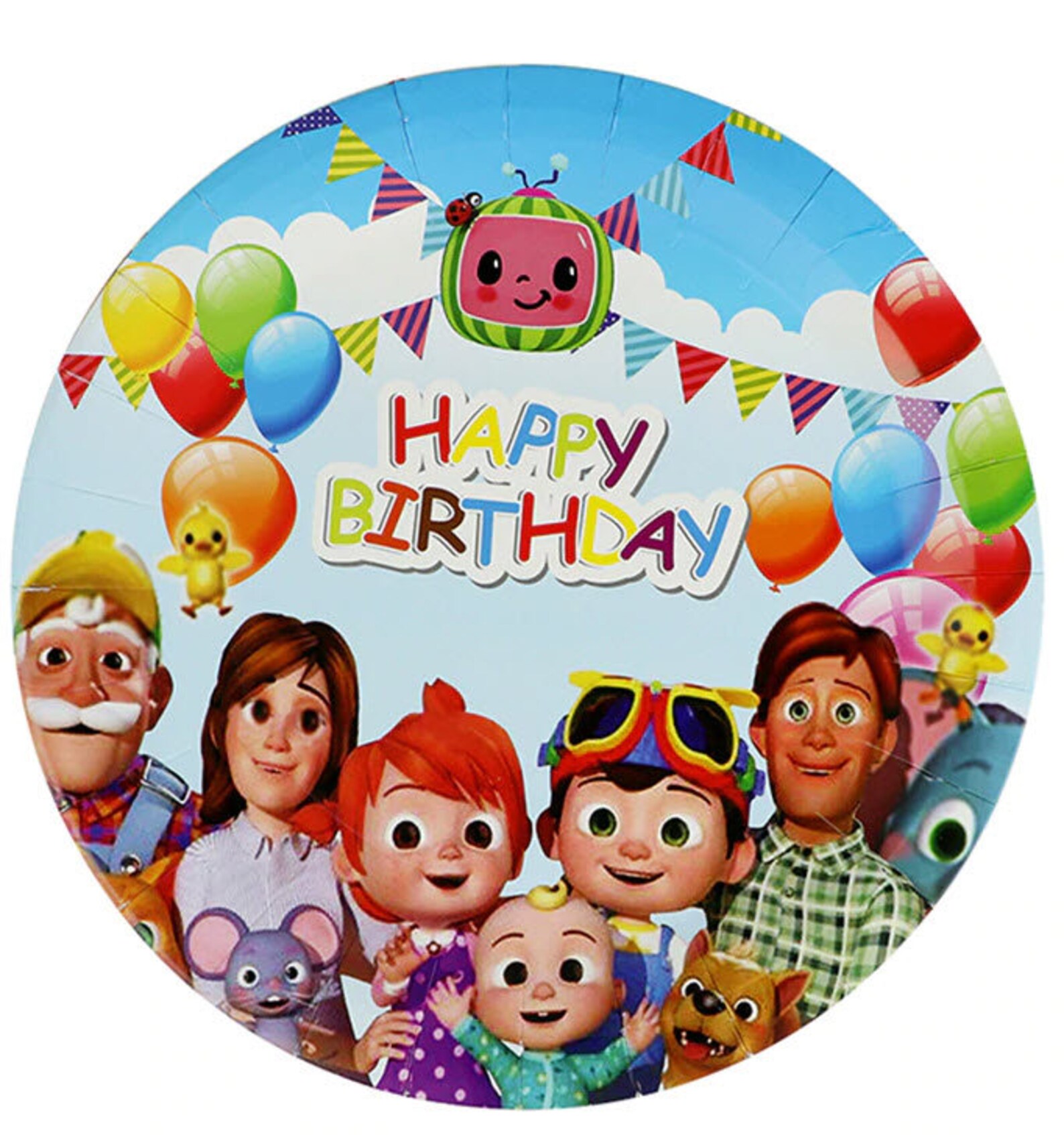 Kids tv show happy birthday party decoration theme idea Etsy
