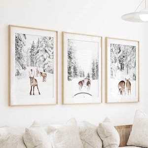 Wonderland Holiday Set of 3 Winter Animals Fawn Photo Snow Forest Print Winter Scenery Dog Sledding Poster Nordic Winter Christmas Wall Art