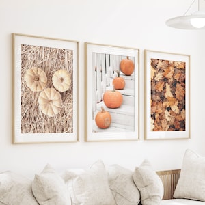 Carteles de Acción de Gracias, impresión de la cosecha de otoño, conjunto de fotos de calabazas, decoración de cocina de otoño, juego de 3 arte de pared de calabaza, arte de impresión de otoño