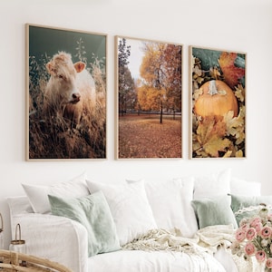 Juego de 3 carteles de otoño, decoración de otoño, impresión de calabaza, póster de otoño naranja, póster de Acción de Gracias, foto de naturaleza otoñal, conjunto de imágenes de arte de pared de otoño