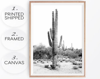 May include: Black and white photograph of a tall cactus in a desert landscape. The cactus is in the center of the image and is surrounded by smaller cacti and bushes. The sky is clear and the ground is sandy.