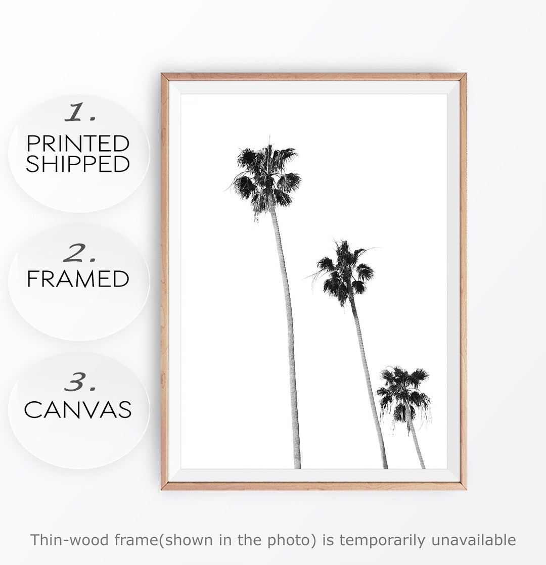 Black and White Palm Tree Print: Minimalist California Coastal Art - Etsy