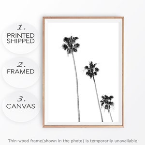 Black White Palms Neutral Boho Palms Photo Minimalist Palms California Coast Modern Palms Print Tropical Black Palm Palms Canvas Print