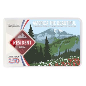 Card Sleeves - Etsy