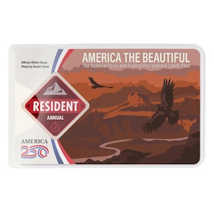 Puede incluir: Un pase rectangular "America the Beautiful" con una ilustraci&oacute;n de un ca&ntilde;&oacute;n y &aacute;guilas. El pase incluye el texto "Resident Annual" y "America 250". El dise&ntilde;o incorpora elementos rojos, blancos y azules.
