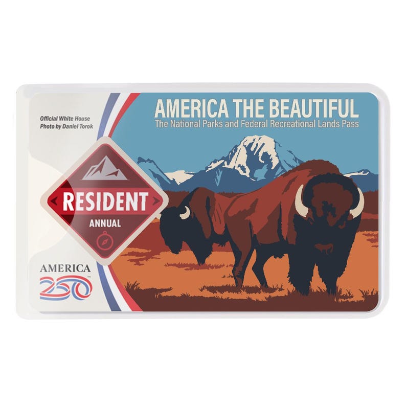 Puede incluir: Un pase rectangular con el texto "AMERICA THE BEAUTIFUL" y "RESIDENT ANNUAL". El pase presenta un gr&aacute;fico de dos bisontes en un paisaje con monta&ntilde;as y el texto "AMERICA 250". El pase es una foto oficial de la Casa Blanca de Daniel Torok.