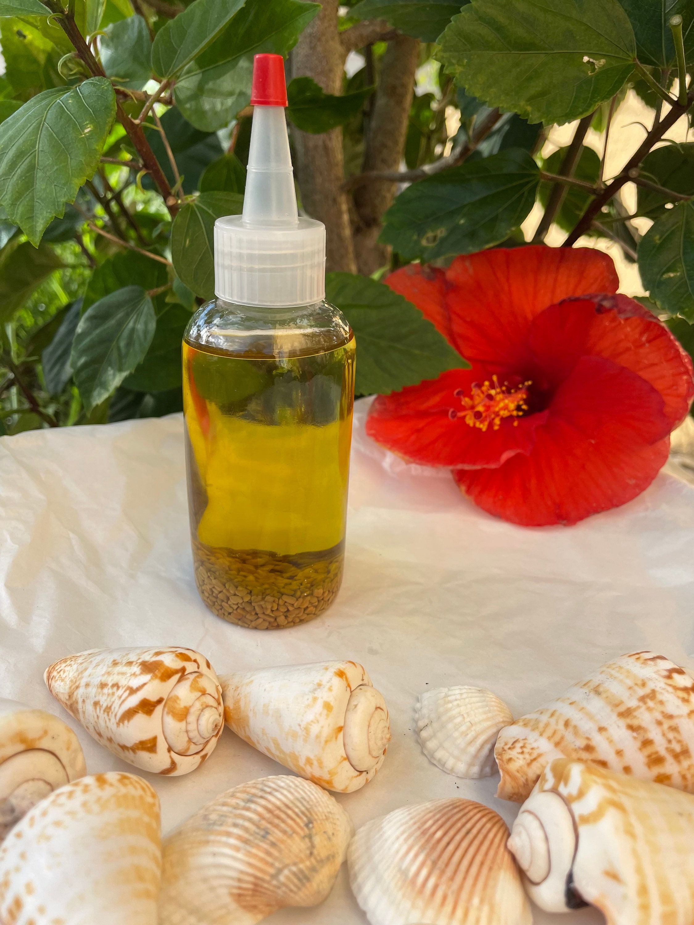 Rosemary and Fenugreek Hair Growth Oil Etsy
