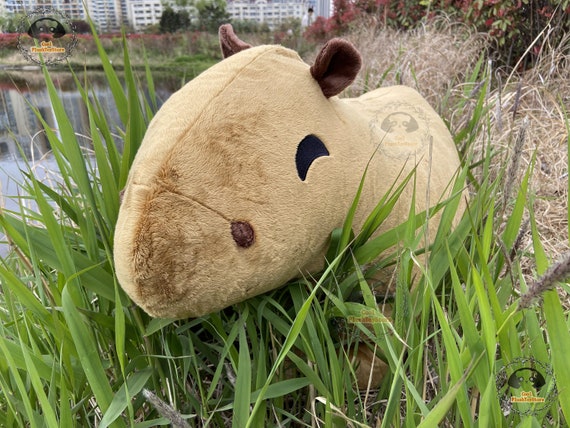 Kawaii Riesen Capybara Plüsch,realistisches Capybara Stofftier,Capybara  Stofftiere und Plüschies,Personalisierte Geschenke,Capybara Liebhaber  Geschenke - .de