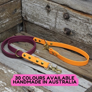 May include: A dog lead and matching leash in a striking colour combination. The leash is a deep burgundy, and the lead is bright orange, both with gold-coloured hardware. The image includes text that says "30 COLOURS AVAILABLE HANDMADE IN AUSTRALIA."