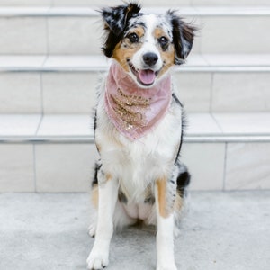 Stay Golden Bandana/Luxury/ Hand Made/ Vintage/ Dog Bandana/ Pet Bandana/ Bandana image 1