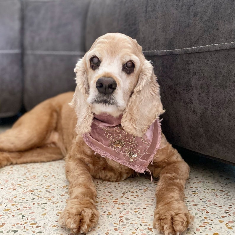 Stay Golden Bandana/Luxury/ Hand Made/ Vintage/ Dog Bandana/ Pet Bandana/ Bandana image 4