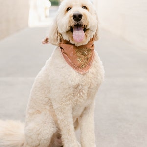 Stay Golden Bandana/Luxury/ Hand Made/ Vintage/ Dog Bandana/ Pet Bandana/ Bandana image 9