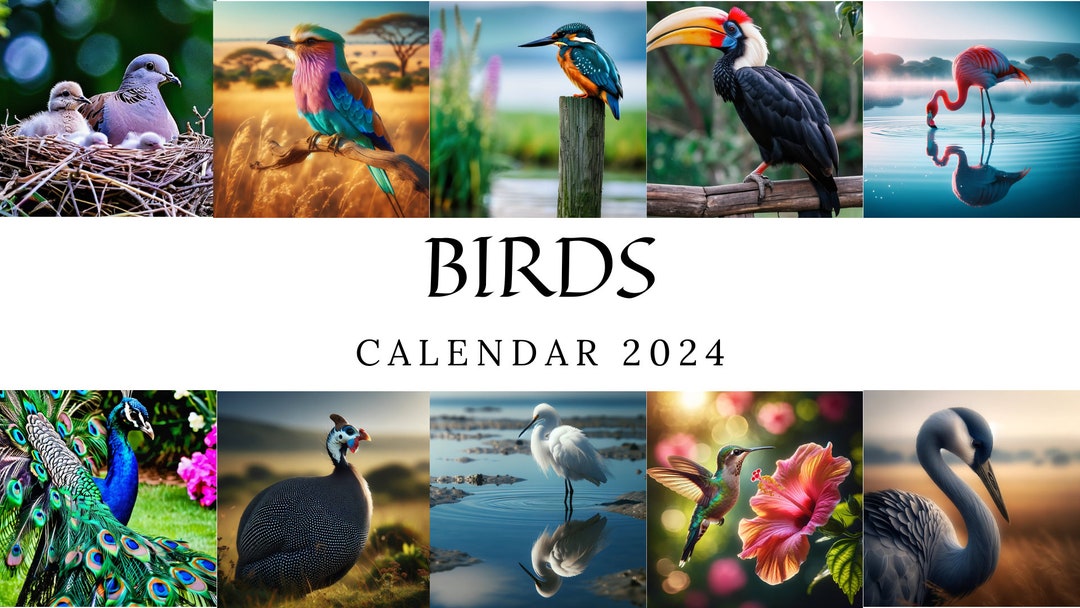Bird Calendar 2024 Beautiful Bird Pictures on a Printable 2024 Calendar
