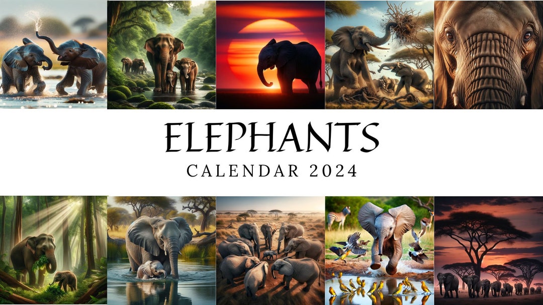 2024 Calendar Elephant Calendar Art Calendar Printable Etsy