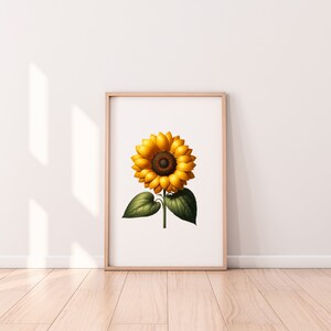 Sunflower Print - Botanic Prints Collection - Four Different Aspect Ratios - Three Different File Types - SVG, PNG and JPG