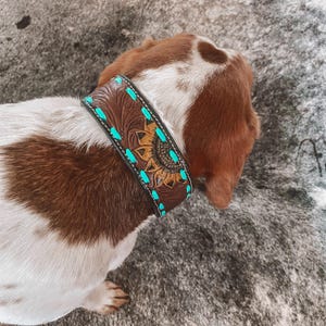 Western hand tooled dog collar