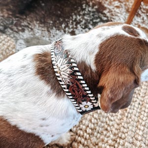 Western hand tooled dog collar