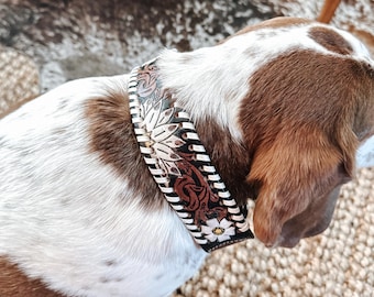 Western hand tooled dog collar