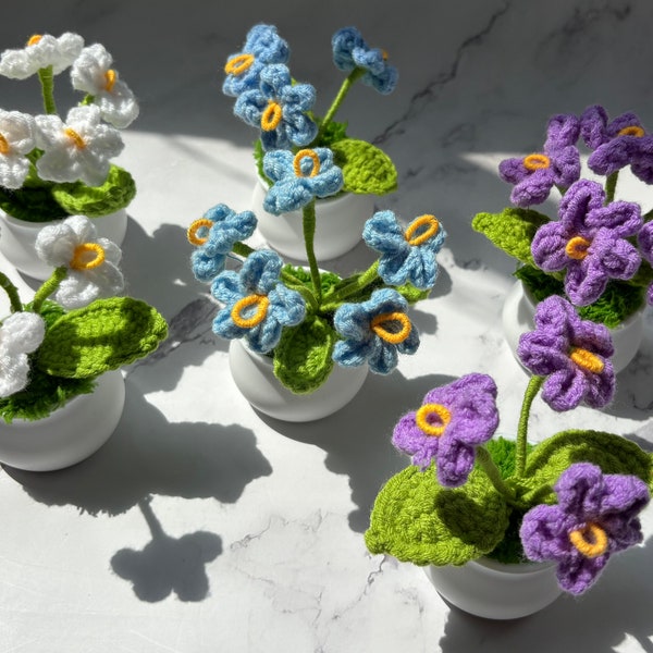 Myosotis au crochet, mini pot de myosotis, fleurs tricotées à la main, décoration florale pour la maison, cadeau pour un ami amoureux, cadeau de la Saint-Valentin