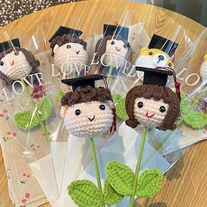 Häkeln Abschluss Junge, Mädchen, Häkelblumenstrauß, Abschlussgeschenk Blumenstrauß, Handgefertigte Strickblumen, Strickstrauß, Geschenk, Abschlussgeschenk