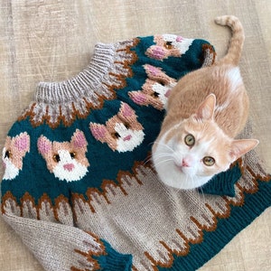 Kitty Cat Sweater Pattern KNITTING PATTERN ONLY image 1