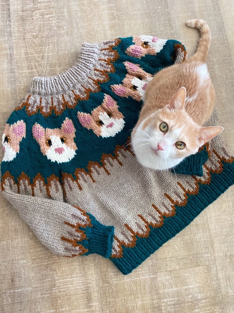 Kitty Cat Sweater Pattern KNITTING PATTERN ONLY image 1
