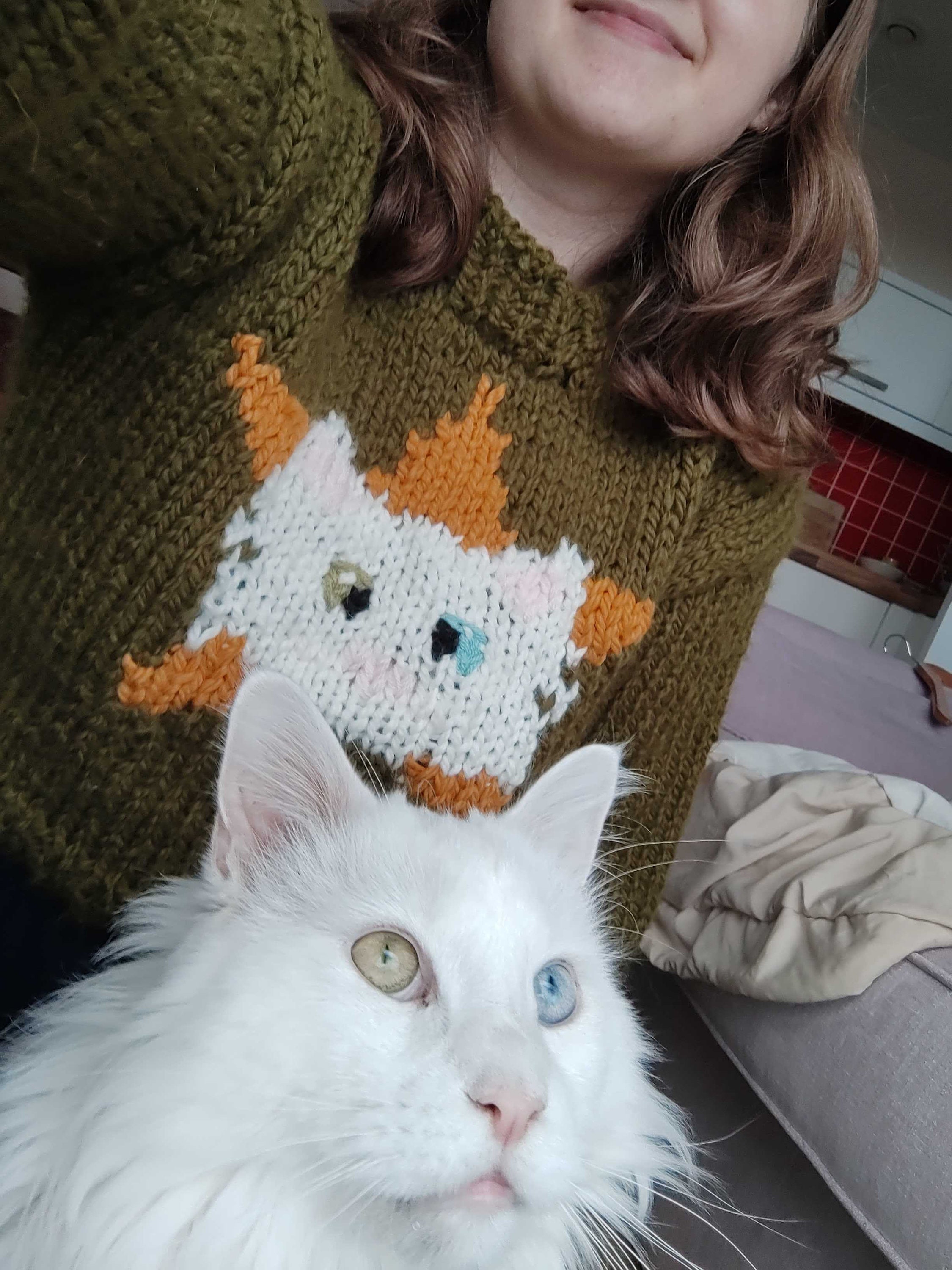 All Star Kitty Cat Sweater Pattern KNITTING PATTERN ONLY Etsy