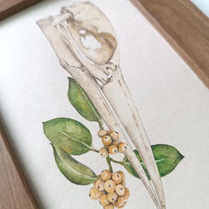 Palella di uccello con Ilex Aquifolium Pyramidalis Fructu Luteo Illustrazione ad acquerello originale