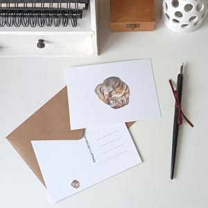 Carte postale aquarelle loir noisette endormi