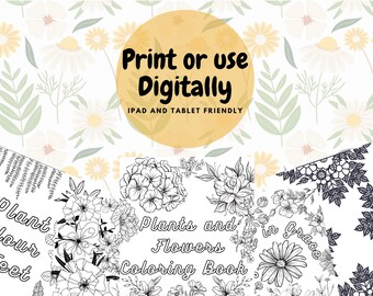 Download Coloring Book Download Etsy