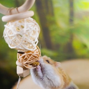 May include: A small hamster with brown and white fur is eating from a wooden toy with a woven straw ball. The toy is hanging from a wooden branch.