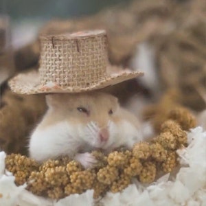 Hamster Straw Hat