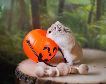 halloween hamster bedding
