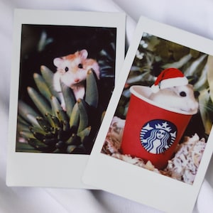 Custom Instax Prints | Instax Film | Fujifilm | Custom Prints | Personalized Prints | Made-to-Order Prints | Pet Gifts