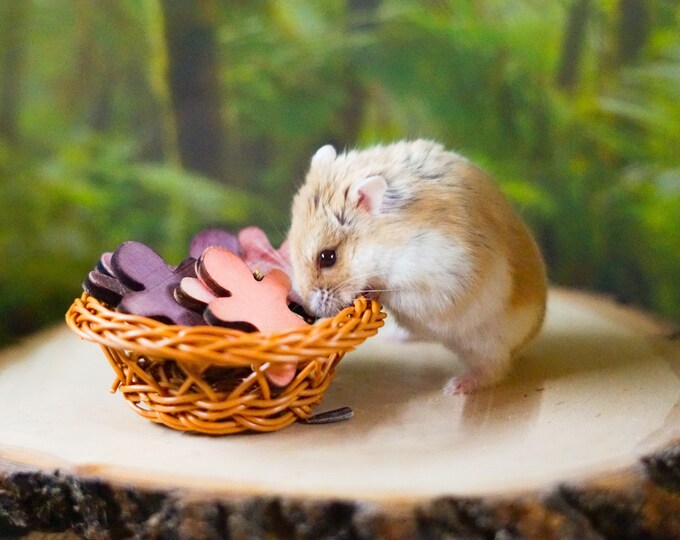 Hamster Gingerbread Wood Chews Etsy