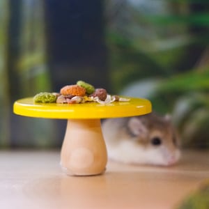 Hamster Dining Set | Boredom Breaker for Hamsters, Rats, Mice, Gerbils