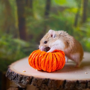 2 Foraging Pumpkins | Boredom Breaker for Hamsters, Bunnies, Rabbits, Guinea Pigs, Rats, Mice, Gerbils