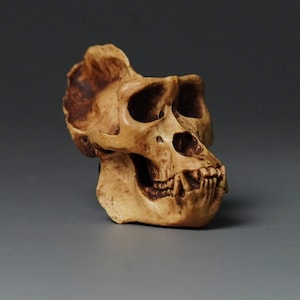 Miniatur Berggorilla Schädel Holz Skulptur