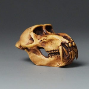 Miniature  Drill Monkey Skull Wood Sculpture