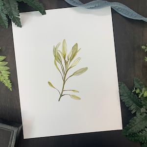 Art Print from Original Watercolor Painting “Sage” | Wall Art, Bookcase Art, Shelf Art, Landscape Art, Kansas Art, Artisan Prairie