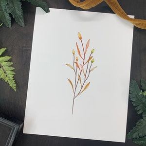 Art Print from Original Watercolor Painting “Native Grasses” | Wall Art, Bookcase Art, Shelf Art, Landscape Art, Kansas Art, Artisan Prairie