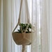 see more listings in the PLANT HANGERS section