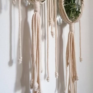 Macrame plant hanger with tassels, Plant holder, Plant hanger on stick, Rope plant hanger, Plant lover gifts, Pots holder, Housewarming image 4