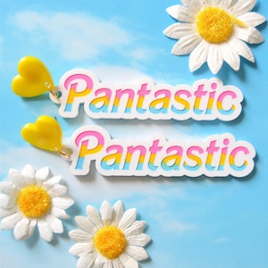 Acrylic Pantastic Pansexual Funny Punny Pan Proud Flag LGBTQIA Statement Earrings