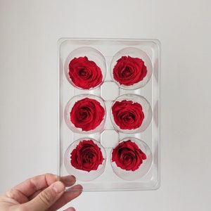 5-6 cm Preserved Roses Wholesale,Eternal Roses,Preserved Rose Box,Preserved Flowers,Rose Head/Wedding Rose,DIY Floral Arrangement,Home Decor